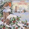 Pack of 12 Square Scenic Christmas Cards - Robin Holly & Church in Snow Glitter