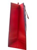 Set of 6 Reusable Square Jumbo Christmas Bag - Bag for Life Reindeer & Bear