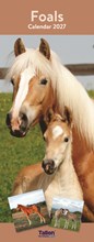 2027 Slim Month To View Spiral Bound Horse Photo Wall Calendar - Foals