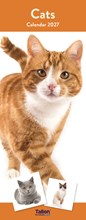 2027 Slim Month To View Spiral Bound Cat Photo Wall Calendar - Cats