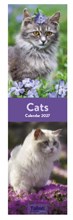 2027 Super Slim Month To View Spiral Bound Animal Photo Wall Calendar - Cats