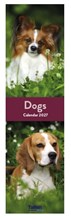 2027 Super Slim Month To View Spiral Bound Animal Photo Wall Calendar - Dogs