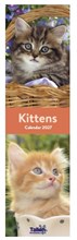 2027 Super Slim Month To View Spiral Bound Animal Photo Wall Calendar - Kittens