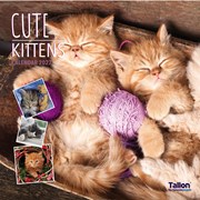 2027 Square Month To View Animal Cat Photo Wall Calendar - Kittens