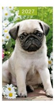 2027 Slim Pocket 2 Week To View Softback Dog Diary - Grey Pug Puppy
