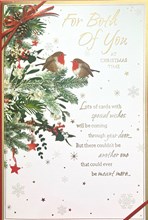 To Both of You Christmas Card -  Robins on Holly Tree with Gold Foil Verse 9x6"