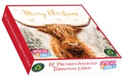Box Of 12 Scenic Premium Inserted Christmas Cards - Highland Cow Snow Blizzard