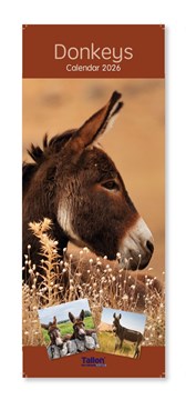 2026 Slim Month To View Spiral Bound Photo Wall Calendar - Donkeys