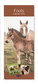 2026 Slim Month To View Spiral Bound Horse Photo Wall Calendar - Foals