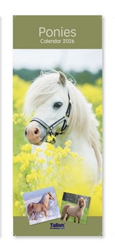 2026 Slim Month To View Spiral Bound Horse Photo Wall Calendar - Ponies