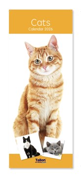 2026 Slim Month To View Spiral Bound Cat Photo Wall Calendar - Cats