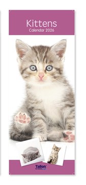 2026 Slim Month To View Spiral Bound Cats Photo Wall Calendar - Kittens