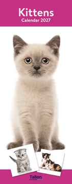2027 Slim Month To View Spiral Bound Cats Photo Wall Calendar - Kittens