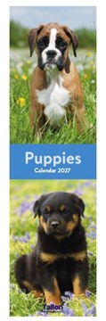 2027 Super Slim Month To View Spiral Bound Animal Photo Wall Calendar - Puppies