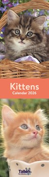 2027 Super Slim Month To View Spiral Bound Animal Photo Wall Calendar - Kittens