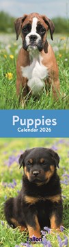 2027 Super Slim Month To View Spiral Bound Animal Photo Wall Calendar - Puppies