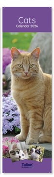 2026 Super Slim Month To View Spiral Bound Animal Photo Wall Calendar - Cats