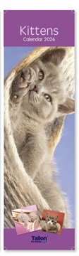 2026 Super Slim Month To View Spiral Bound Animal Photo Wall Calendar - Kittens