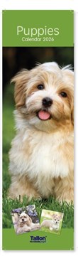 2026 Super Slim Month To View Spiral Bound Animal Photo Wall Calendar - Puppies