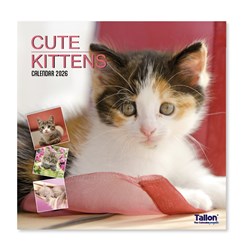 2026 Square Month To View Animal Cat Photo Wall Calendar - Kittens