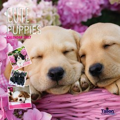 2027 Square Month To View Animal Dog Photo Wall Calendar - Puppies