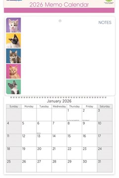 2026 Spiral Bound Memo Board Calendar & Write On Wipe Off Pen - Cats