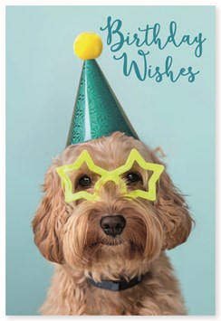 Open Birthday Card - Cute Puppy with Party Hat and Glasses  7.75" x 5.25"