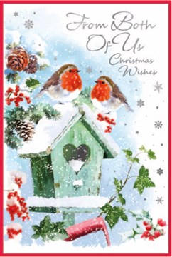 From Both Of Us Christmas Card - Robins & Birdhouse in Snow and Silver Foil 9x6"