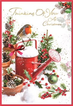 Thinking Of You Christmas Card - Red Robin and Watering Can Gold Foil 7.5x5.25