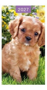 2027 Slim Pocket 2 Week To View Softback Dog Diary - Golden Puppy