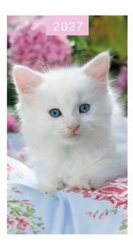 2027 Slim Pocket 2 Week To View Soft Back Cat Diary - White Kitten