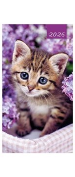 2026 Slim Pocket 2 Week To View Soft Back Cat Diary - Purple with Tabby Kitten