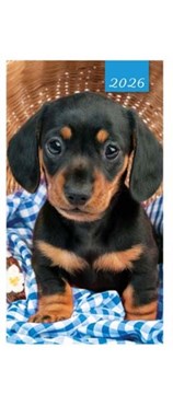 2026 Slim Pocket 2 Week To View Softback Dog Diary - Dachshund Sausage Dog Puppy