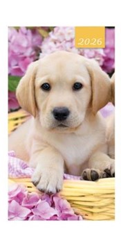 2026 Slim Pocket 2 Week To View Softback Dog Diary - Labrador Puppy