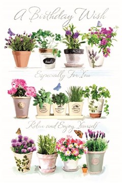 Open Female Birthday Card - Plants Herbs & Butterflies with Silver Foil 9x6" Open Female Birthday Card - Plants Herbs & Butterflies with Silver Foil 9x6"