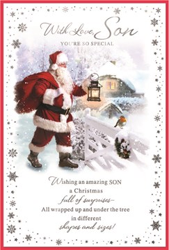Son Christmas Card - Traditional Santa Robin on Gate in Snow Silver Foil 9x6"