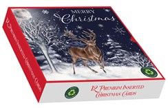 Box Of 12 Scenic Premium Inserted Christmas Cards - Stag in Forrest at Night