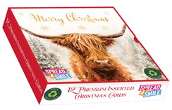 Box Of 12 Scenic Premium Inserted Christmas Cards - Highland Cow Snow Blizzard