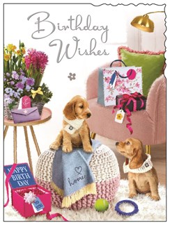 Jonny Javelin Open Female Birthday Card - Puppies Pink Chair & Flowers 7.25x5.5" Jonny Javelin Open Female Birthday Card - Puppies Pink Chair & Flowers 7.25x5.5"