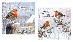 Pack of 12 Scenic Square Christmas Cards - Robin and Holly with Silver Foil