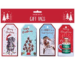 Pack of 16 Christmas Gift Tags - Novelty Designs with Foil & Twine