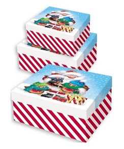 Set Of 3 Large Christmas Square Nested Gift Boxes - Cute Santa Claus & Robins