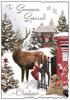 Jonny Javelin Someone Special Christmas Card -Stag in Garden Glitter Foil 9x6.25
