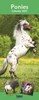 2027 Slim Month To View Spiral Bound Horse Photo Wall Calendar - Ponies