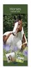 2026 Slim Month To View Spiral Bound Horse Photo Wall Calendar - Horses