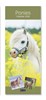 2026 Slim Month To View Spiral Bound Horse Photo Wall Calendar - Ponies