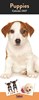 2027 Slim Month To View Spiral Bound Dog Photo Wall Calendar Puppies