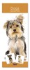 2026 Slim Month To View Spiral Bound Dog Photo Wall Calendar Dogs