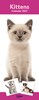 2027 Slim Month To View Spiral Bound Cats Photo Wall Calendar - Kittens