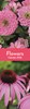 2027 Super Slim Month To View Spiral Bound Photo Wall Calendar - Flowers